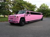 Popular Party Bus & Limo Service in NJ & NY | Bergen Limo